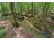 Scenic view of a shallow creek flowing through a densely wooded area with mature trees at 239 Berry Rd, Mcdonough, GA 30252