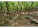 Natural creek feature through a wooded area at 239 Berry Rd, Mcdonough, GA 30252