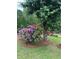 Lush landscaping featuring vibrant pink rhododendrons beneath a mature tree at 1750 Providence Place Dr, Alpharetta, GA 30009