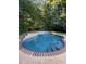 Inviting in-ground pool with brick trim, surrounded by lush trees providing a tranquil backyard retreat at 6275 Cheatham Lake Nw Dr, Acworth, GA 30101