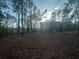Large backyard surrounded by trees, offering privacy and plenty of space at 142 Tye St, Stockbridge, GA 30281