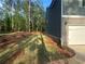 The side of the home is nicely landscaped with an attached garage surrounded by tall trees at 142 Tye St, Stockbridge, GA 30281