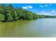 Expansive lake view, perfect for swimming and other outdoor activities with beautiful trees and blue sky at 5765 Riley Rd, Cumming, GA 30028