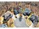 An aerial view showcases a well-manicured property in a cul-de-sac, surrounded by a serene wooded area at 1604 Summersweet Ln, Dacula, GA 30019