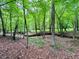 Lush backyard featuring dense trees and natural growth at 1023 Little Darby Ln, Suwanee, GA 30024
