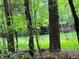 Green backyard featuring deer among the dense trees and natural growth at 1023 Little Darby Ln, Suwanee, GA 30024