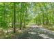 Gravel driveway winding through a dense forest, leading to a private property nestled in nature at 379 Bohannon Rd, Grantville, GA 30220