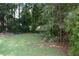 Lush backyard featuring healthy grass and privacy trees at 5517 Rock Shoals Way, Atlanta, GA 30349