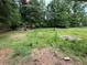View of the backyard area with overgrown grass at 1024 Topaz Lane, Villa Rica, GA 30180