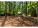 Large backyard with mature trees creating a private and serene outdoor space at 5410 Rosser Rd, Stone Mountain, GA 30087