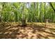Fully fenced backyard with lots of room for playing, gardening, and enjoying the outdoors at 5410 Rosser Rd, Stone Mountain, GA 30087