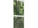 Close up on exterior window view at 62 Hampton Ter, Dallas, GA 30157