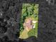 Stunning aerial view of the property showcasing the home's layout, yard, and surrounding lush trees, providing a sense of privacy at 8443 Marina Bay Ct, Jonesboro, GA 30236
