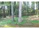 Lush wooded backyard offering privacy and a natural setting at 4747 Darlene Way, Tucker, GA 30084