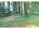 Lush wooded backyard offering privacy and a natural setting at 4747 Darlene Way, Tucker, GA 30084