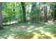 Secluded wooded backyard with mature trees and a storage shed at 4747 Darlene Way, Tucker, GA 30084