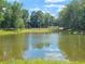 Scenic view of a tranquil pond surrounded by lush greenery, perfect for nature lovers at 1888 Copelyn Reese Court (Lot 164), Lawrenceville, GA 30043