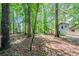 View of the wooded backyard with mature trees and partial view of the home at 1934 Patton Pl, Lithonia, GA 30058