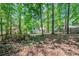 Scenic wooded backyard offering privacy and a natural setting at 1934 Patton Pl, Lithonia, GA 30058