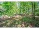 Lush wooded backyard, partially fenced with mature trees and a home view at 1934 Patton Pl, Lithonia, GA 30058