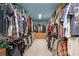 Long walk-in closet with plenty of storage space at 321 River Green Ave, Canton, GA 30114