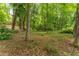 Lush backyard featuring mature trees and natural ground cover, offering privacy and a serene environment at 8470 Lazy Oaks Ct, Atlanta, GA 30350