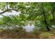 Scenic water view framed by lush trees, creating a serene and natural landscape at 8470 Lazy Oaks Ct, Atlanta, GA 30350