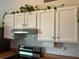 A modern kitchen boasts stainless steel appliances and bright white cabinets at 225 Magnolia Tree Ct, Johns Creek, GA 30022