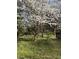 Lush green backyard featuring a blooming tree and a small birdbath adding serenity at 522 Stell Rd, Woodstock, GA 30188