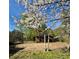 Scenic backyard view showcasing a shed, blooming trees, and lush greenery under a blue sky at 522 Stell Rd, Woodstock, GA 30188