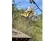 Vibrant yellow butterfly rests on white blossoms, highlighting the beauty of nature at 522 Stell Rd, Woodstock, GA 30188