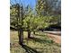 Yard with trees and road in background at 522 Stell Rd, Woodstock, GA 30188