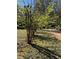 Yard with trees lining a driveway in the background at 522 Stell Rd, Woodstock, GA 30188