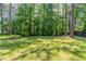Lush, well-maintained backyard with mature trees providing shade and privacy for outdoor enjoyment at 142 Wellspring Pt, Hiram, GA 30141