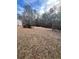 Large backyard surrounded by mature trees, offering plenty of space for outdoor activities and privacy at 6540 Old White Mill Road Rd, Fairburn, GA 30213