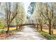Long, tree-lined driveway with blooming trees creating a scenic entrance to the property at 2366 Battle Forest Sw Dr, Marietta, GA 30064