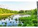 Scenic view of a lush pond surrounded by dense vegetation, creating a peaceful natural setting at 2366 Battle Forest Sw Dr, Marietta, GA 30064