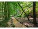 A charming stone and gravel path winds through the trees, leading to the home at 1690 Trotters Ln, Stone Mountain, GA 30087