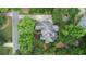 Aerial view of private wooded lot with well-maintained lawn at 4645 Waterford Dr, Suwanee, GA 30024