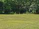 Vast green lawn with surrounding trees, highlighting the property's ample outdoor space at 225 Oglesby Bridge Rd Se, Conyers, GA 30094