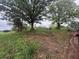 Cleared homesite on a grassy hillside featuring mature trees at 2226 Upper Burris Rd, Canton, GA 30114