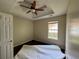Comfortable bedroom featuring a trey ceiling, ceiling fan and hardwood floors, flooded with natural light at 160 Goldleaf Dr, Hampton, GA 30228