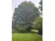 Tranquil landscape featuring mature shade tree and gravel walking trail at 265 Lee River Cv, Suwanee, GA 30024