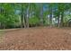 Serene backyard with towering trees and a ground covered in pine straw and cones at 3007 Manning Dr, Marietta, GA 30062