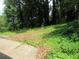 A lush backyard offering ample space for outdoor activities and relaxation at 3086 Lone Oak Sw Ave, Atlanta, GA 30354