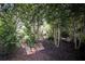 Backyard featuring lush trees, plants, mulch, and an inviting space to enjoy the tranquility of nature at 176 Oakland Way, Dallas, GA 30157