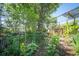Lush backyard garden with mature trees, bird bath, and variety of plants, perfect for relaxing and enjoying nature at 176 Oakland Way, Dallas, GA 30157