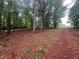 Beautiful lot featuring towering trees and an idyllic setting that offers privacy at 2200 Upper Burris Rd, Canton, GA 30114