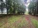 Scenic view of the wooded acreage surrounding the property at 2200 Upper Burris Rd, Canton, GA 30114
