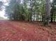 Picturesque wooded acreage with pine straw and green grass at 2200 Upper Burris Rd, Canton, GA 30114